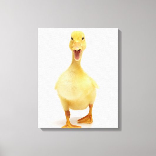 Toile Canard (Recto)