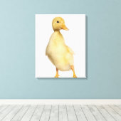 Toile Canard (1 semaine) (Insitu (Plancher de Bois))