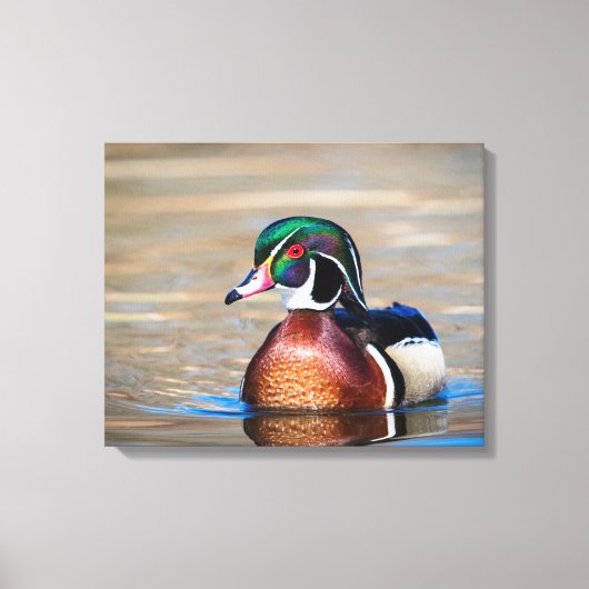 Toile Canard à bois dans un étang (Recto)