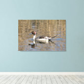 Toile Canard à queue pointue nage dans un étang (Insitu (Plancher de Bois))