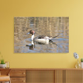 Toile Canard à queue pointue nage dans un étang (Insitu(Salon))