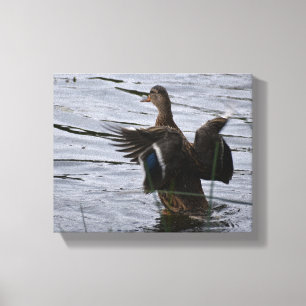 Toile Canard colvert battant des ailes