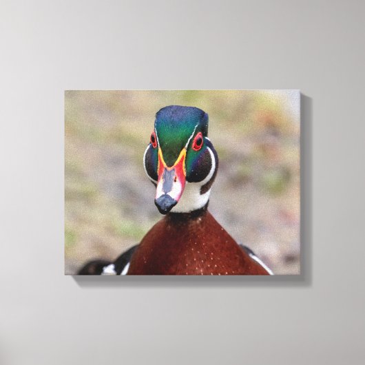 Toile Canard en bois 14x11 (Recto)