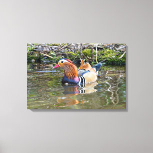 Toile Canard mandarin