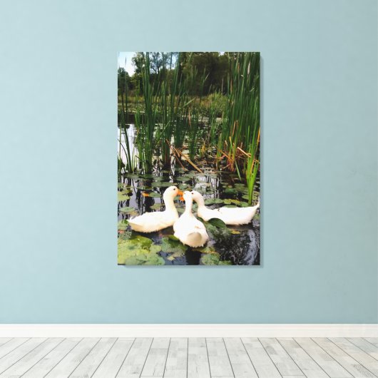 Toile Canards blancs, caleçons, cattails, lac (Insitu (Plancher de Bois))