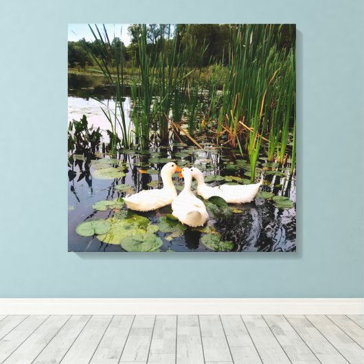 Toile Canards blancs, caleçons, cattails, lac (Insitu (Plancher de Bois))