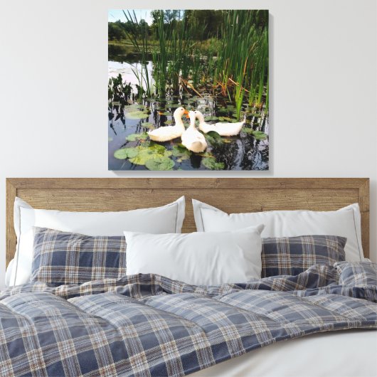 Toile Canards blancs, caleçons, cattails, lac (Insitu(Chambre))