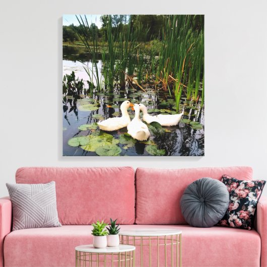 Toile Canards blancs, caleçons, cattails, lac (Insitu(Salon))