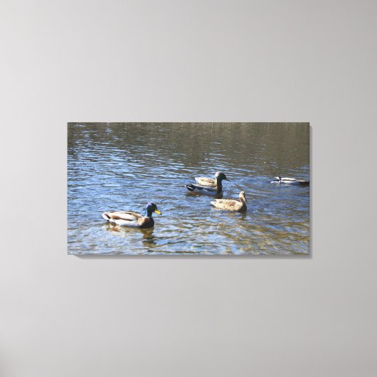 Toile canards dans l'eau (Recto)
