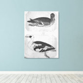 Toile Canards, de l'Album Vallardi (Insitu (Plancher de Bois))