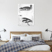 Toile Canards, de l'Album Vallardi (Insitu(Chambre))