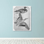 Toile Canards, de l'Album Vallardi (Insitu (Plancher de Bois))