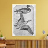 Toile Canards, de l'Album Vallardi (Insitu(Salon))