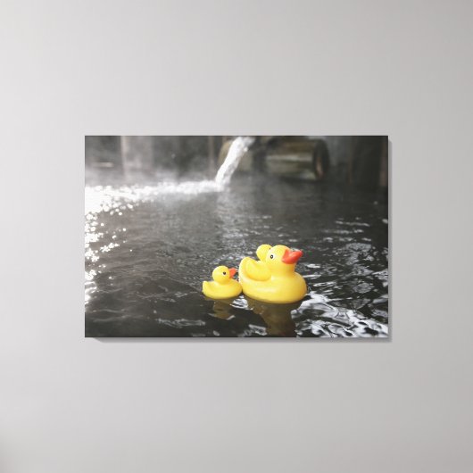 Toile Canards en caoutchouc japonais (Recto)