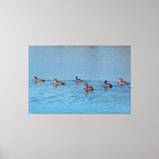Toile Canards Par Six (Recto)