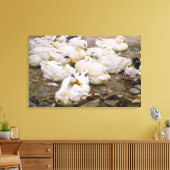 Toile Canards sur un étang (Insitu(Salon))