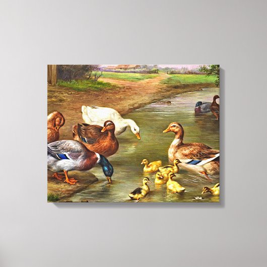 Toile Canards vintages Canards Canards Animaux de ferme (Recto)