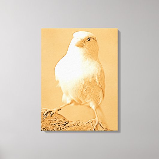 Toile Canary Bird Canvas (Recto)