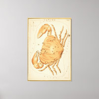 Cancer du crabe - Signe Vintage de l'image du zodi