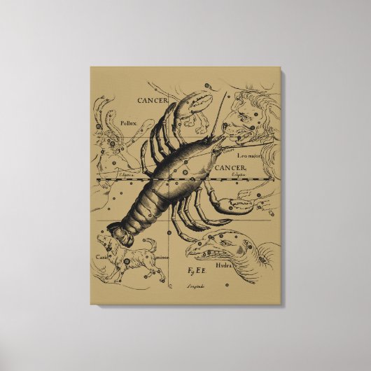 Toile Cancer Zodiac Constellation par Hevelius 1690 (Recto)