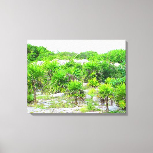 TOILE CANCUN, MEXIQUE #14 IMPRIMER CANVAS (Recto)