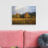Toile Candy Colors of Rocky Mountain National Park (Insitu(Salon))