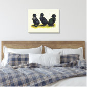 Toile Canetons Black Cayuga (Insitu(Chambre))