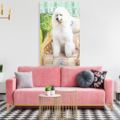Toile Caniche blanc (Insitu(Salon))