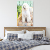 Toile Caniche blanc (Insitu(Chambre))