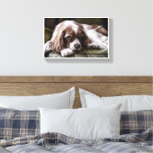 Toile Canine (Insitu(Chambre))