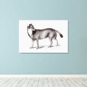 Toile Canis Antarctique (Insitu (Plancher de Bois))