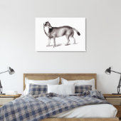 Toile Canis Antarctique (Insitu(Chambre))