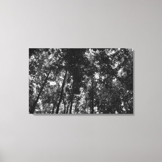 Toile Canopée de bois 01 BW (Recto)