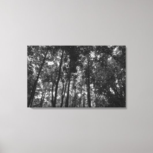 Toile Canopée de bois 02 BW (Recto)
