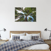 Toile canopée de sapin de Douglas (Insitu(Chambre))