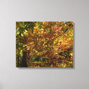 Toile Canopée des Feuilles d'automne II Photographie d'a