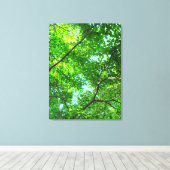 Toile Canopée verte, Branches feuillues avec ciel bleu (Insitu (Plancher de Bois))