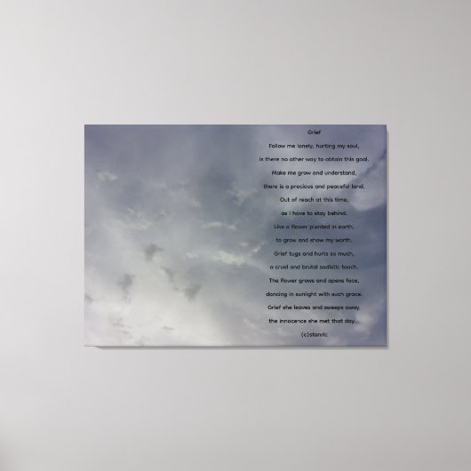 TOILE CANVAS (Recto)