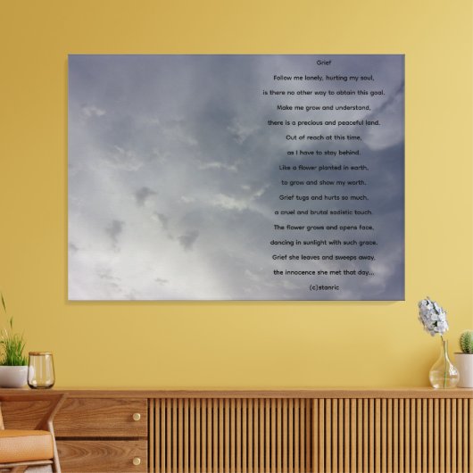 TOILE CANVAS (Insitu(Salon))