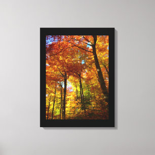 Toile Canvas Arbres d'automne