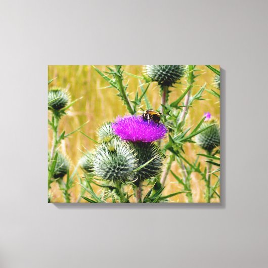 Toile Canvas Art Bee sur le chardon (Recto)