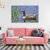 Toile Canvas canard (Insitu(Salon))