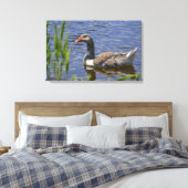 Toile Canvas canard (Insitu(Chambre))