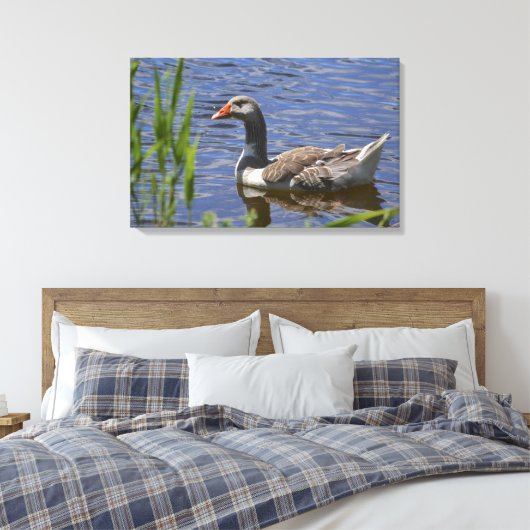 Toile Canvas canard (Insitu(Chambre))