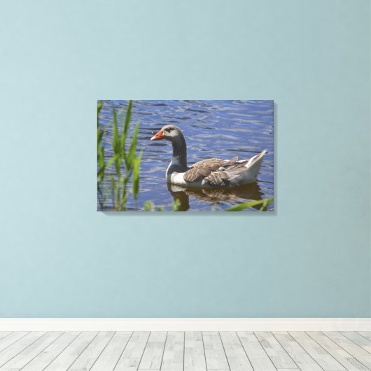 Toile Canvas canard (Insitu (Plancher de Bois))