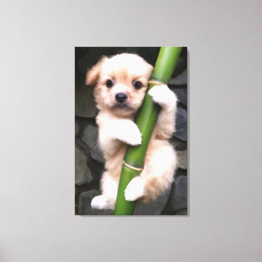 Toile Canvas Cute Puppy Gaejook 개죽이  (Recto)