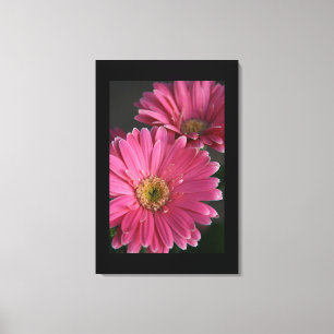 Toile Canvas de marguerites roses