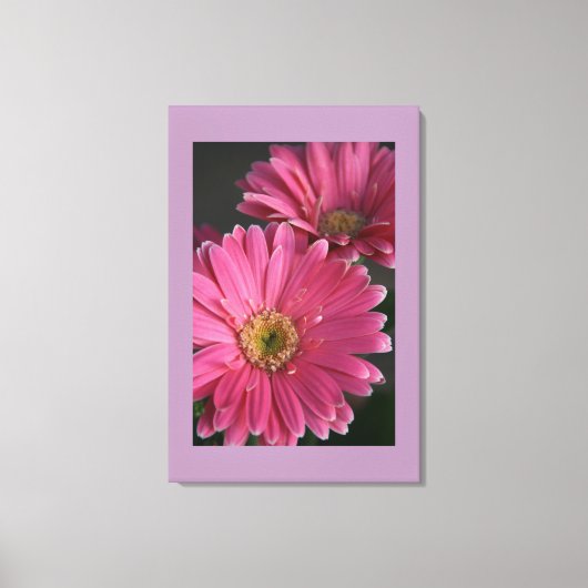 Toile Canvas de marguerites roses (Recto)