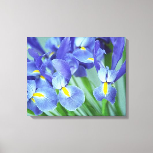 Toile Canvas de photos à fleurs de printemps violet Iris (Recto)