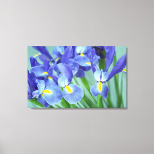 Toile Canvas de photos à fleurs de printemps violet Iris